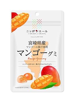【ネズミちゃんさま専用】宮崎県産　摘花マンゴー約10キロ マンゴー 【まるのわマンゴー】 完熟 小さい ミニマンゴー 1kg